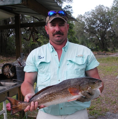 Gerry redfish