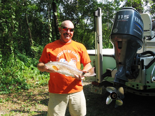 redfish