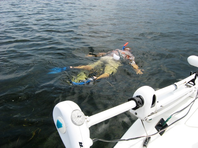 snorkling