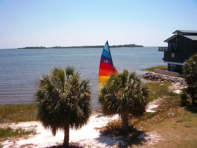 cedarkey