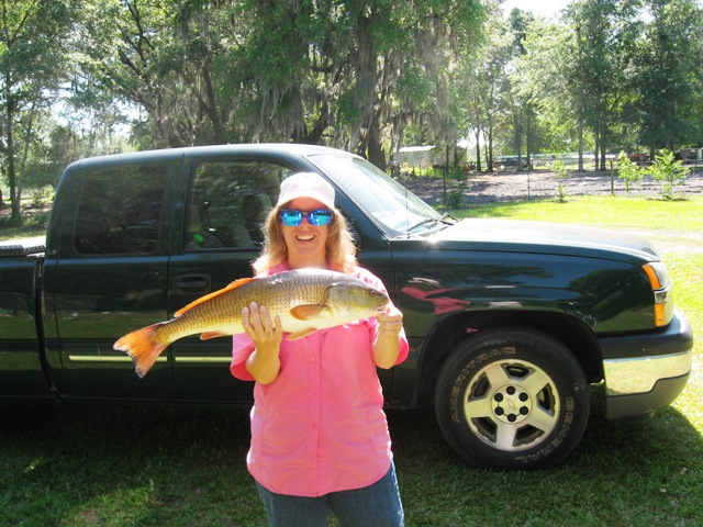 redfish