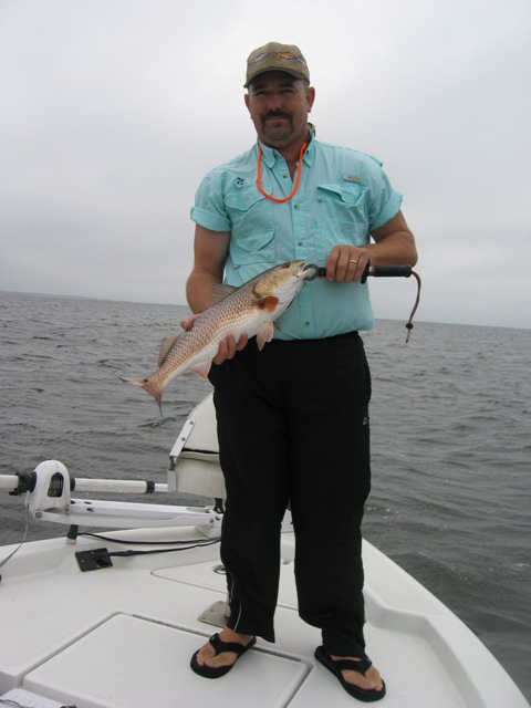 redfish3