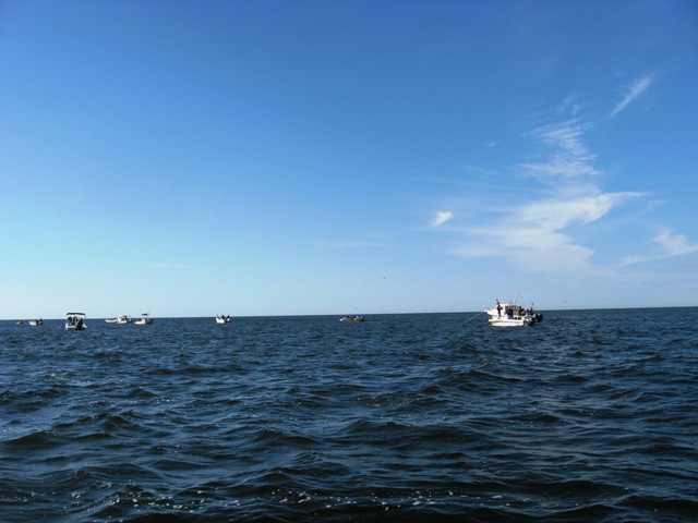 boats2