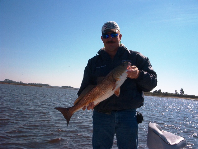 redfish2