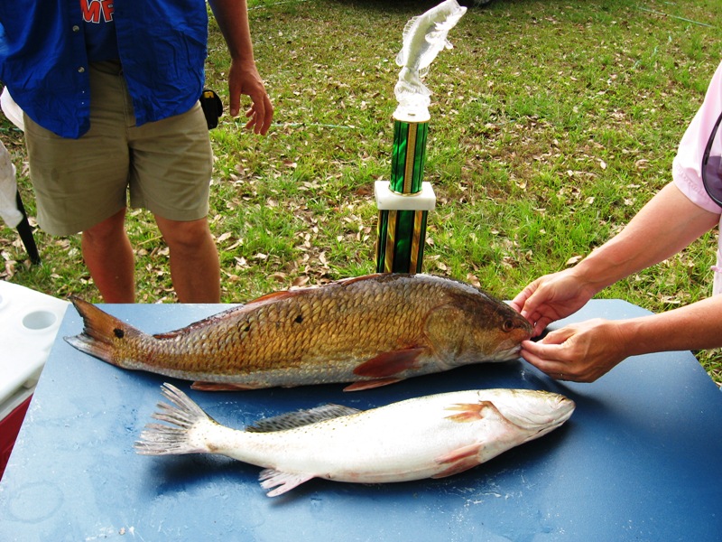 winning fish